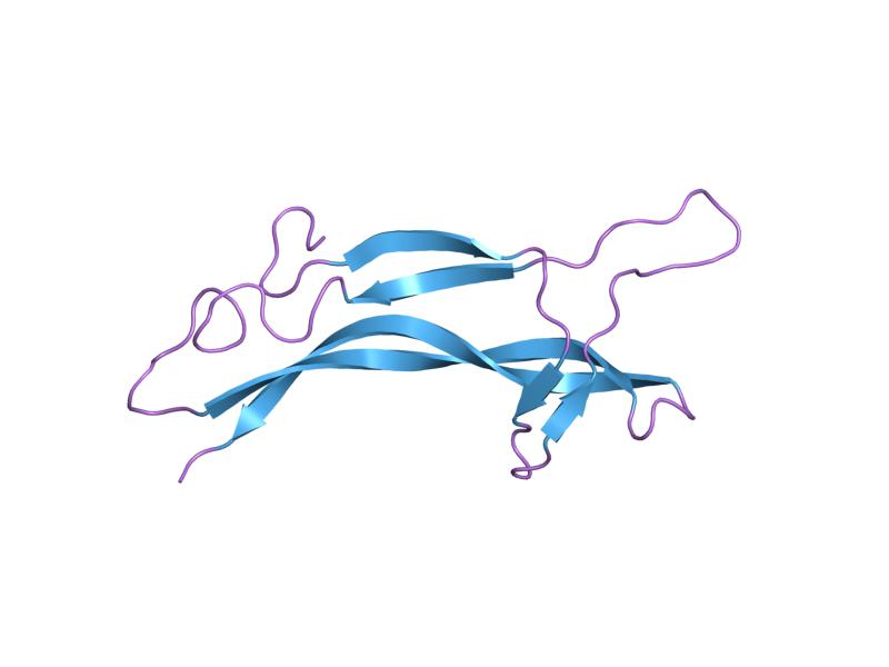 Файл:PDB 1nt3 EBI.jpg
