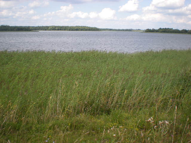 Файл:Chereyskoe Lake, Belarus.jpg