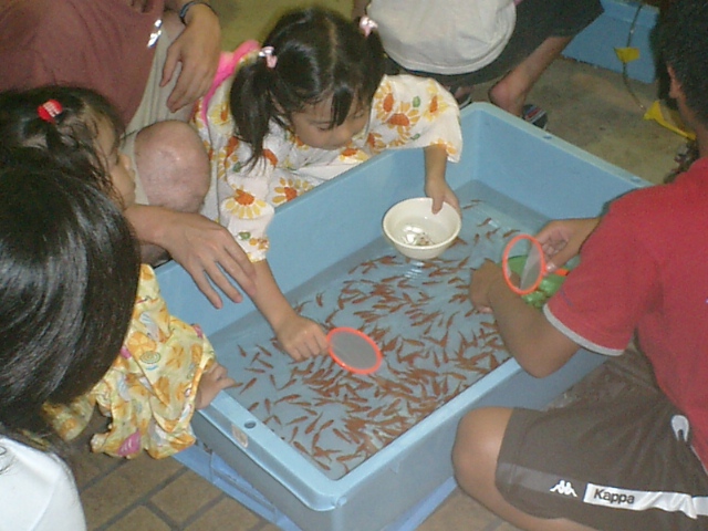 Файл:Goldfish Scooped Up.jpg