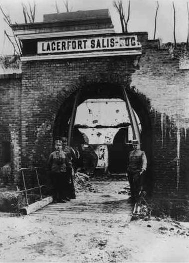 Файл:Salissoglio1915.jpg