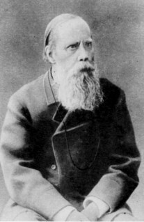 Файл:Saltykov 1880.jpg