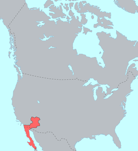 Файл:Yuman-Cochimi langs.png