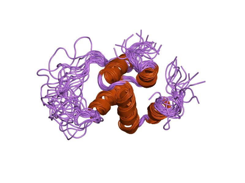 Файл:PDB 1pn5 EBI.jpg