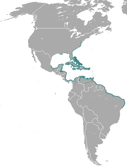 Файл:West Indian Manatee area.png