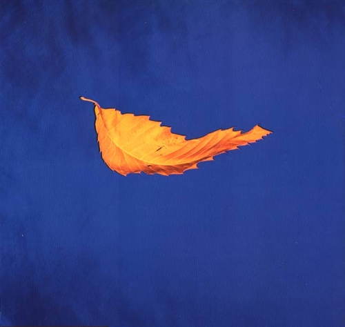 Файл:New Order - True Faith.jpg