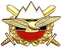 Эмблема ПВО и ВВС Словении