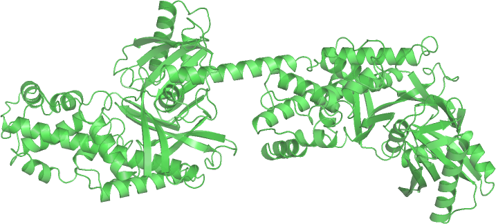 Файл:Hexokinase type 1 wpmp.png