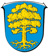 Файл:Wappen Waldsolms.png