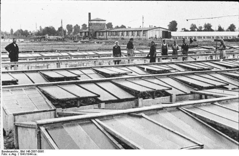 Файл:Bundesarchiv Bild 146-2007-0095, IG-Farbenwerke Auschwitz.jpg