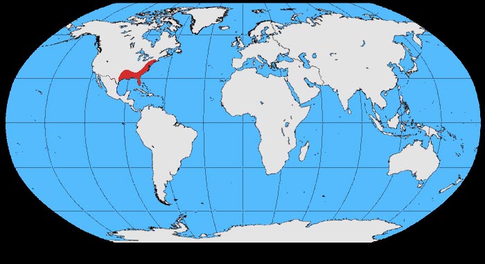 Файл:Corvus ossifragus map.jpg