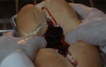 Файл:XFiles 3.jpg