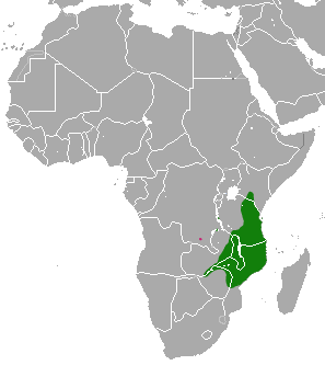 Файл:Bushy-tailed Mongoose area.png