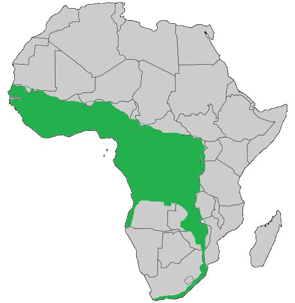 Файл:Forest cobra distribution.jpg