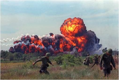 Файл:ForestBurn.jpg