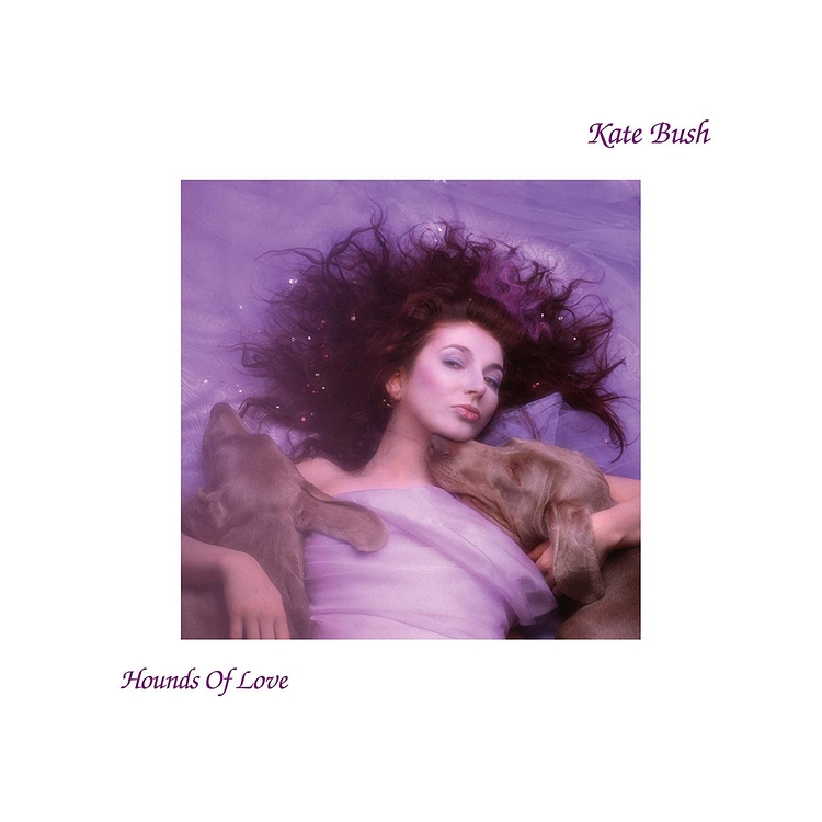 Файл:Kate Bush - Hounds of Love.jpg