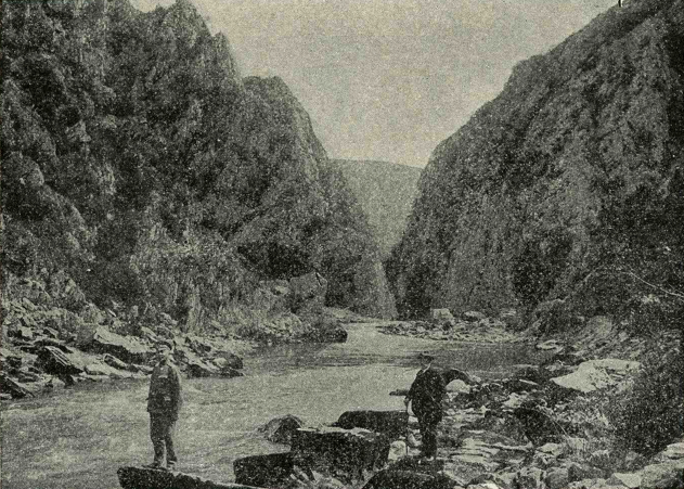 Файл:Matka 1919.png