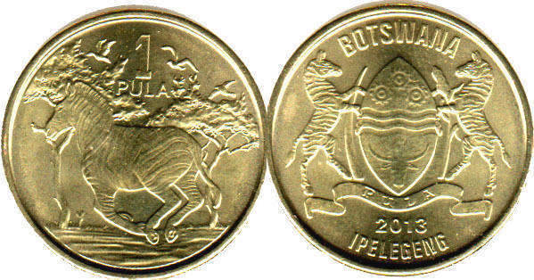 Файл:1 Pula 2013.jpg