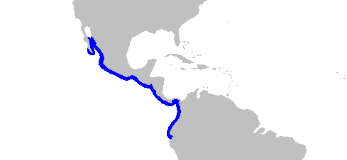 Файл:Diplobatis ommata rangemap.png