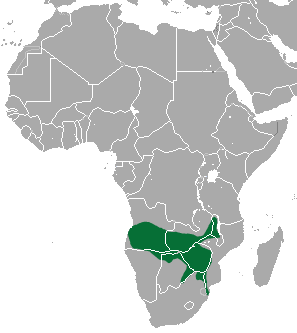Файл:Selous' Mongoose area.png