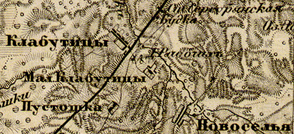Деревня Новоселье на карте 1863 г.