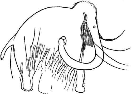 Файл:Combarelles-mammouth.png