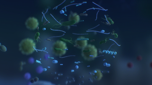 Файл:Everything animation 12 - bcayhVD.gif