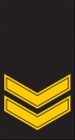 Файл:OR-5 seržantas.jpg