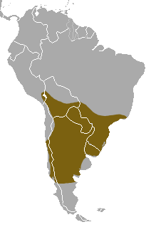 Файл:Lesser Grison area.png