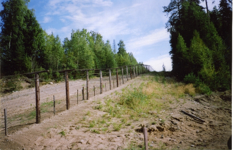 Файл:Syvaoro.jpg