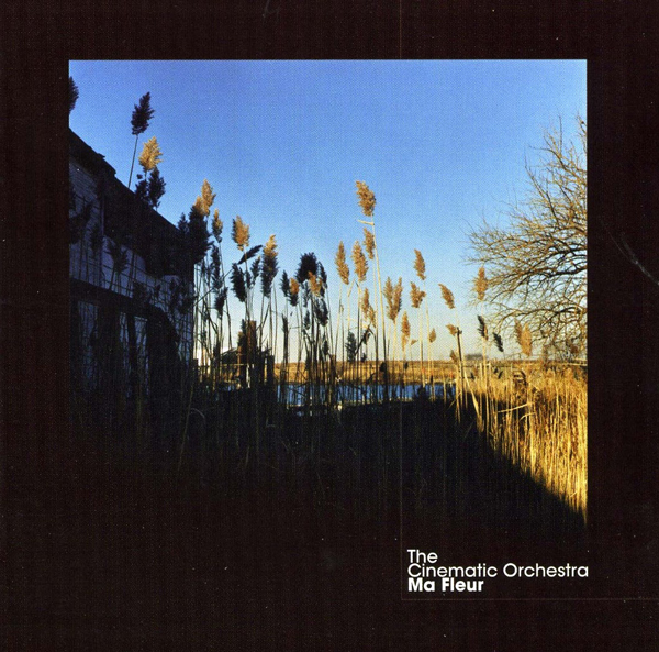 Файл:The Cinematic Orchestra - Ma Fleur.jpeg