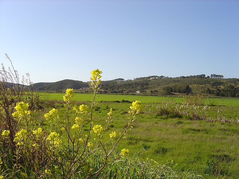 Файл:2007.03.23.pt.Aljezur.Odeceixe.RibeiraSeixe.jpg