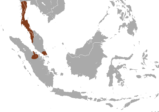 Файл:Banded Surili area.png
