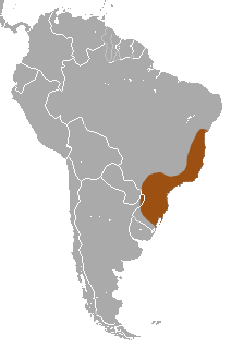 Файл:Brown Howler area.png