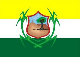 Файл:Bandeira de Timbaúba PE.jpg