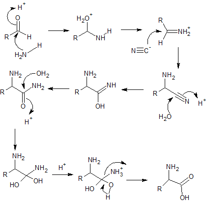 Файл:Strecker Reaction.png