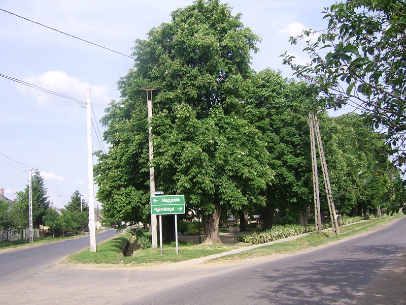 Файл:Balkány kossuth.jpg