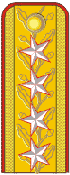 Файл:RO-Army-OF9.png