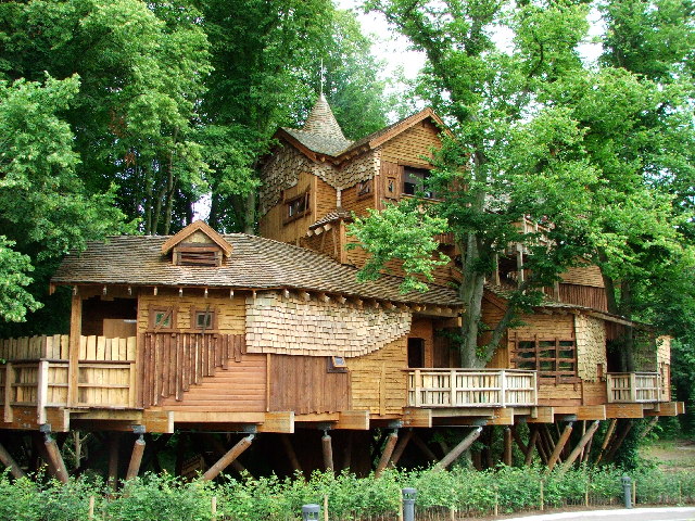 Файл:The Treehouse - geograph.org.uk - 32426.jpg