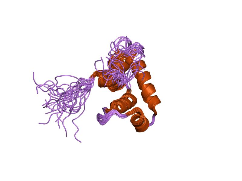 Файл:PDB 1tty EBI.jpg
