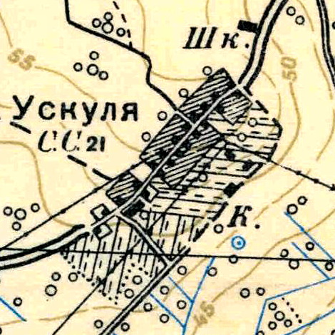 План деревни Ускуля. 1939 год