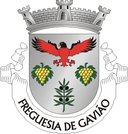 Файл:GAV-gaviao.png