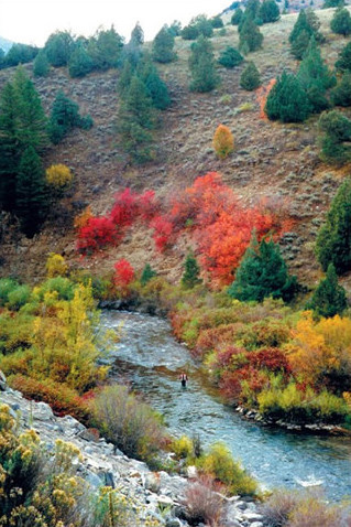 Файл:Logan River.jpg