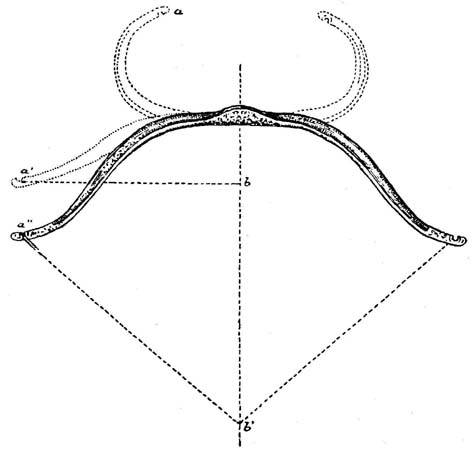 Файл:Turkish bow Boeheim.jpg