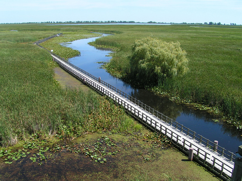 Файл:ON Pelee tango7174.jpg