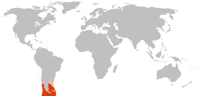 Файл:Biomap Sphenisus Magellanicus.png
