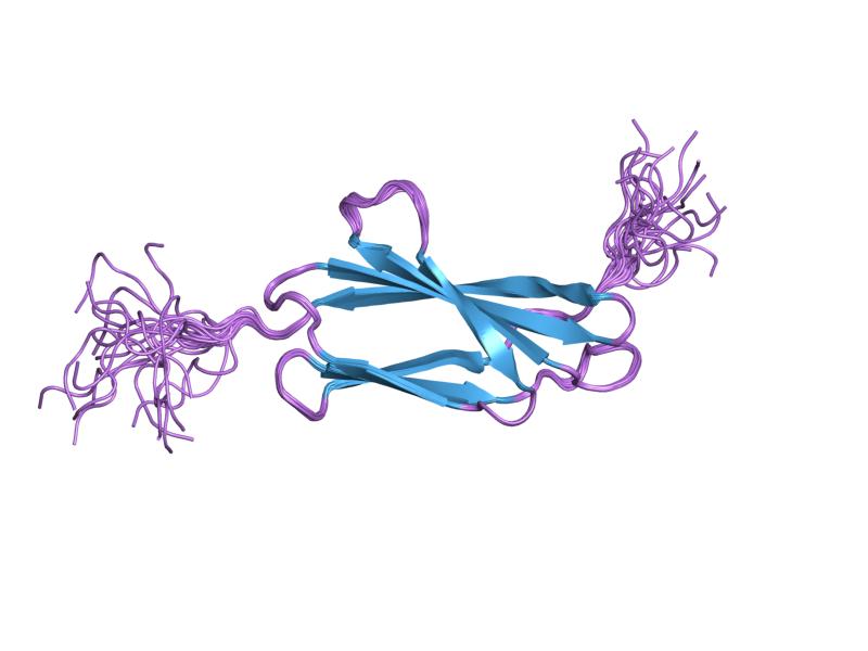 Файл:PDB 2dn7 EBI.jpg