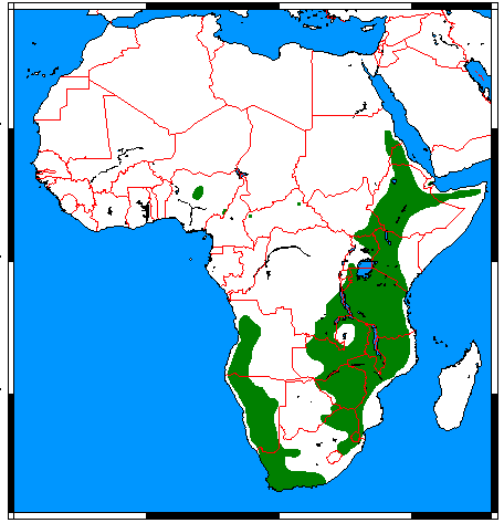 Файл:Oreotragus oreotragus range map.png