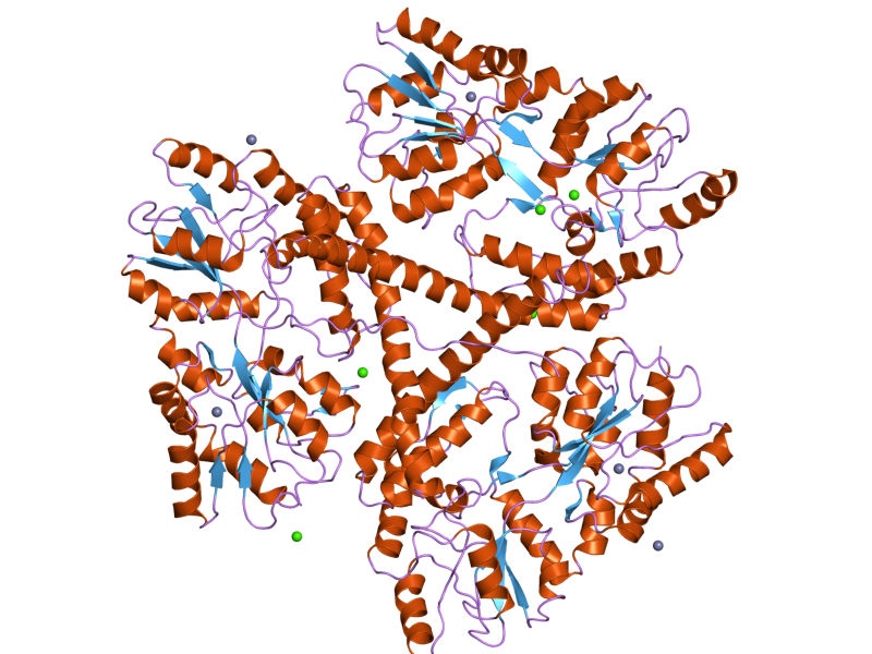 Файл:PDB 3io4 EBI.png