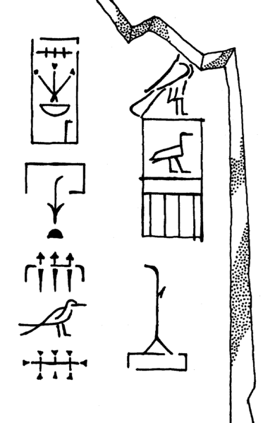 Файл:BirdFraegment.png