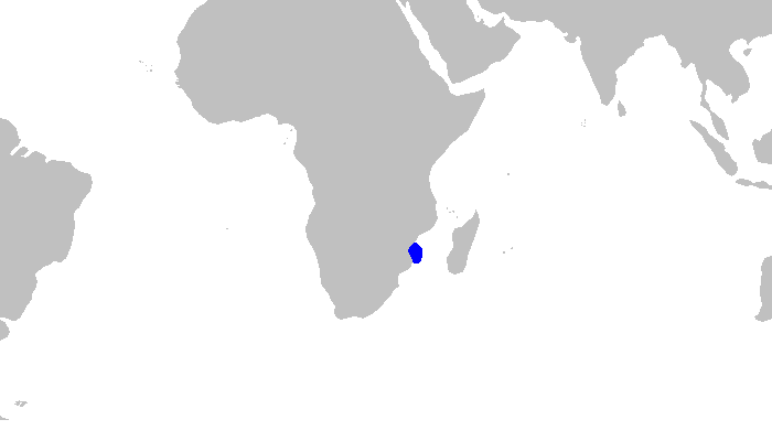 Файл:Paragaleus leucolomatus distmap.png